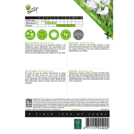 Lathyrus odoratus 'Royal Family White', Reukerwt