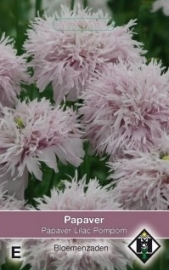 Papaver somniferum 'Lilac Pompom', Papaver Slaapbol