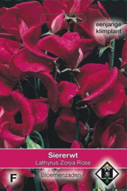 Lathyrus odoratus 'Zorjia Rose', Siererwt (voorlopig niet leverbaar)