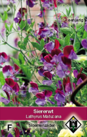 Lathyrus odoratus 'Matucana', Siererwt