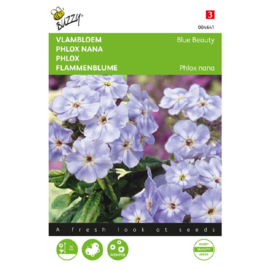 Phlox nana 'Blue Beauty', Vlambloem