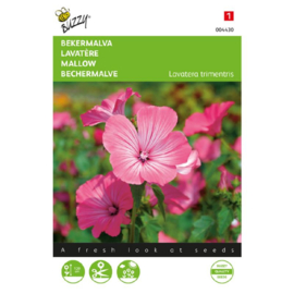 Lavatera trimestris, Lavatera Bekermalva