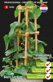 Komkommer snack zelfbestuivend 'Patio Snacker F1', Cucumis sativus