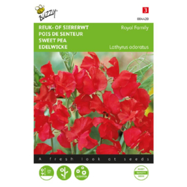 Lathyrus odoratus 'Royal Family Scarlet', Reukerwt
