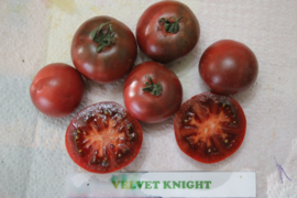 Saladetomaat 'Velvet Knight', Solanum lycopersicum