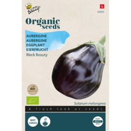 Aubergine 'Black Beauty', Solanum melongena Biologisch
