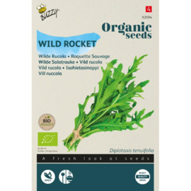 Rucola wilde, Diplotaxis tenuifolia Biologisch