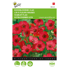 Linum grandiflorum, Roodbloeiend Vlas