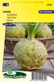 Knolselderij 'Goliath', Apium graveolens var. rapaceum