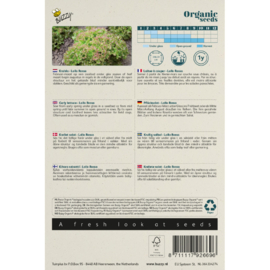 Krulsla pluksla 'Lollo Rossa', Lactuca sativa Biologisch