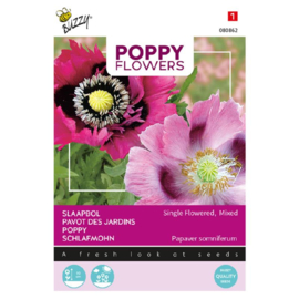 Papaver somniferum 'Single Flowered', Papaver of Slaapbol