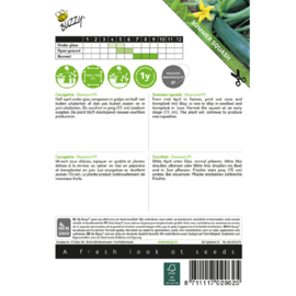 Courgette 'Diamant F1', Cucurbita pepo