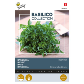 Basilicum dwerg 'Bush Ball' / 'Fino Nano-Palla', Ocinum basilicum