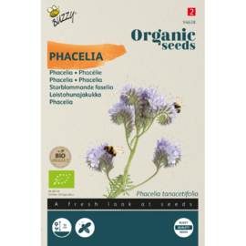 Phacelia, Phacelia tanacetifolia Biologisch