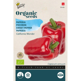 Paprika rode blokpaprika 'California Wonder', Capsicum annuum Biologisch