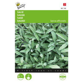 Salie, Salvia officinalis