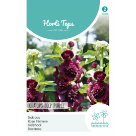 Alcea rosea 'Chater's Deep Purple', Stokroos