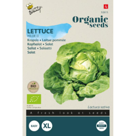 Kropsla 'Hilde 2', Lactuca sativa Biologisch