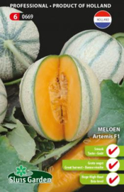 Kantaloupmeloen suikermeloen 'Artemis F1', Cucumis melo