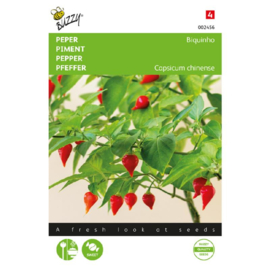 Peper niet heet 'Biquinho', Capsicum chinense