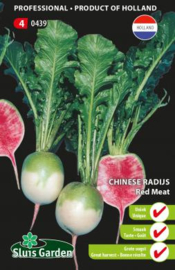 Chinese radijs watermeloenradijs 'Red Meat', Raphanus sativus var sativus