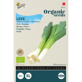 Prei 'Herfstreuzen 2 Hannibal', Allium porrum Biologisch