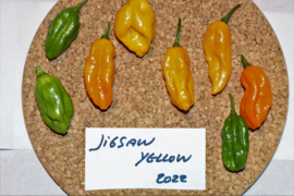 Peper 'Fatalii Gourmet Jigsaw Yellow'(de heetste), Capsicum chinense