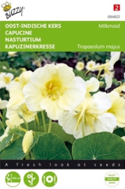 Tropaeolum majus 'Milkmaid', Oost Indische Kers rankend