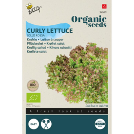 Krulsla pluksla 'Lollo Rossa', Lactuca sativa Biologisch
