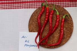 Peper 'Aci Kil Menderes', Capsicum annuum