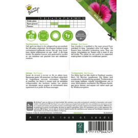 Malope trifida 'Red Queen', Trechtermalva