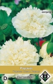 Papaver somniferum 'Cream Paeony', Papaver Slaapbol