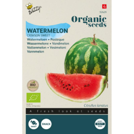 Watermeloen 'Crimson Sweet', Citrullus lanatus Biologisch