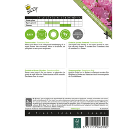 Godetia grandiflora 'Salmon Princess/Wordt Sweetheart Pink', Zomer Azalea