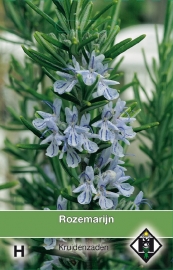 Rozemarijn, Rosmarinus officinalus