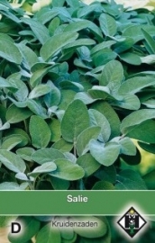 Salie, Salvia officinalis