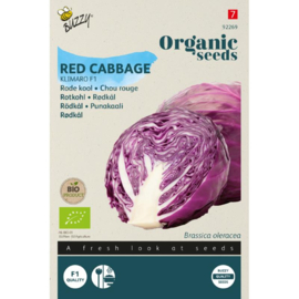 Rode kool 'Klimaro F1', Brassica oleracea Biologisch