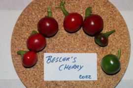 Peper vulpeper 'Besler's Cherry', Capsicum annuum