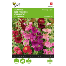 Alcea rosea ficifolia 'Antwerp Stars mix', Vijgenblad Stokroos