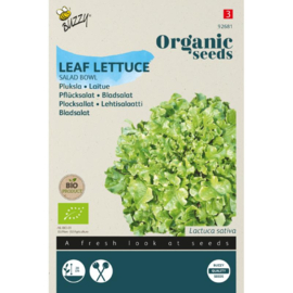 Pluksla 'Salad Bowl', Lactuca sativa Biologisch