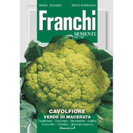 Bloemkool groen 'Verde Di Macerata', Brassica oleracea var. botrytis
