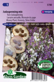 Lunaria annua Mix, Judaspenning