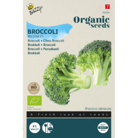 Broccoli 'Belstar F1', Brassica oleracea var. cymosa Biologisch