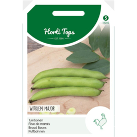 Tuinboon bruinkokend 'Witkiem Major', Vicia faba