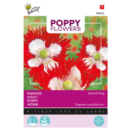 Papaver somniferum 'Danish Flag', Papaver of Slaapbol Deense Flag