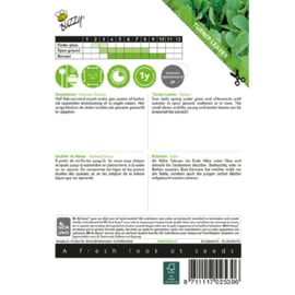 Raapstelen Gewone groene, Brassica rapa subsp. campestris
