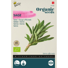 Salie, Salvia officinalis Biologisch