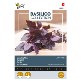Basilicum rode 'Dark Opal', Ocinum basilicum