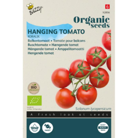 Balkontomaat 'Koralik', Solanum lycopersicum Biologisch