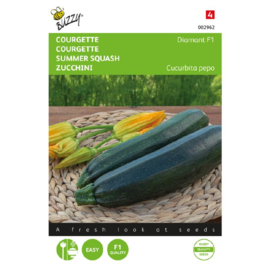 Courgette 'Diamant F1', Cucurbita pepo